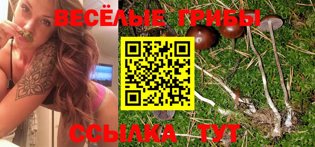 Галлюциногенные грибы мицелий Тихорецк