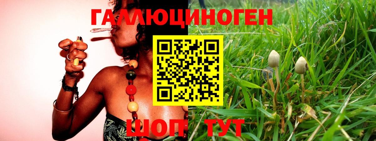 Тихорецк  Псилоцибиновые грибы Cubensis  Галлюциногенные грибы мицелий  Вход с VPN 